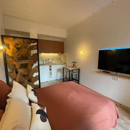 Studio-chambre D'hotel Prive Grospierres