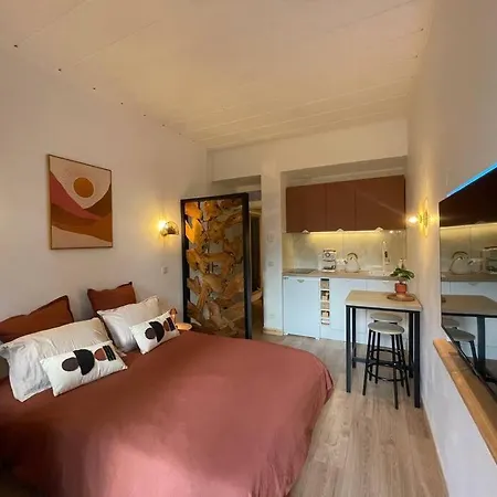Studio-chambre D'hotel Prive Apartment *